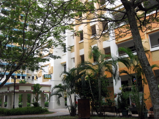 Blk 969 Hougang Street 91 (Hougang), HDB 4 Rooms #248262